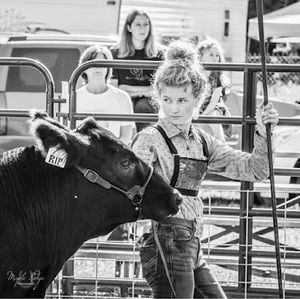 Meet your Posher, Select livestock